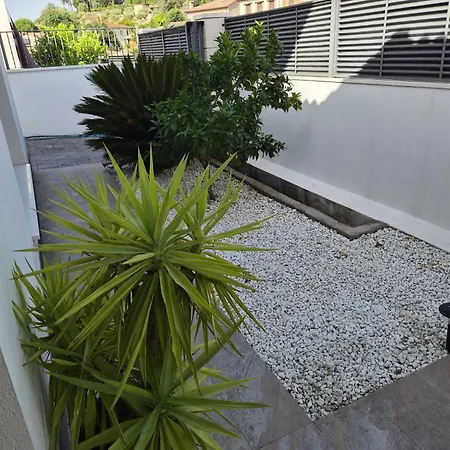 Palmeras De Jadal *