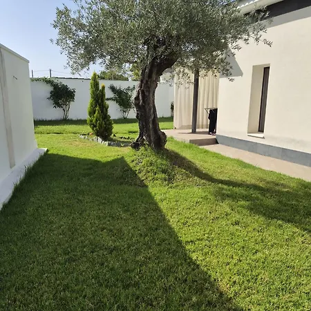 Palmeras De Jadal